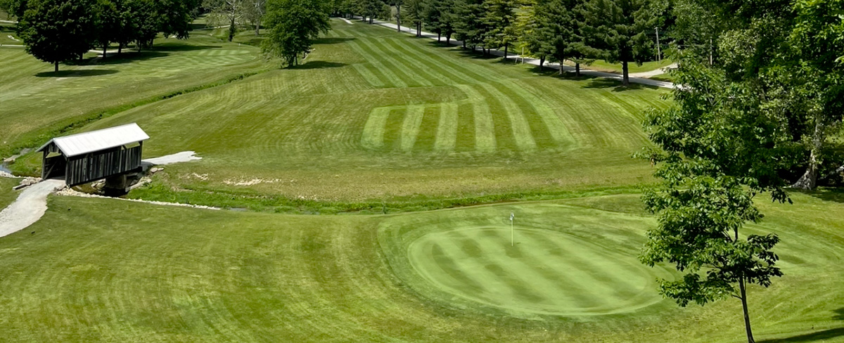 Image of golf ball on tee on grass.